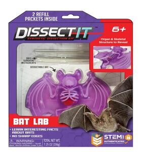 Dissect It Bat Science Kit Safe Realistic Dissection for Kids STEM Learning